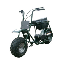 Capacidad de carga fuerte Vehículo eléctrico ATV